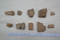 藏品(殷墟有字甲片)的圖片