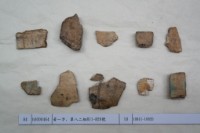 藏品(殷墟有字甲片)的圖片