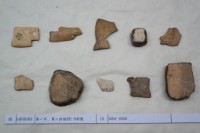 藏品(殷墟有字甲片)的圖片