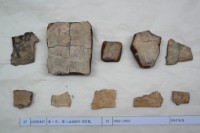 藏品(殷墟有字甲片)的圖片