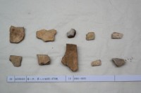 藏品(殷墟有字甲片)的圖片