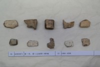 藏品(殷墟有字甲片)的圖片