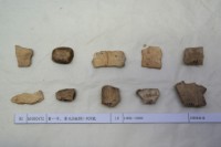 藏品(殷墟有字甲片)的圖片