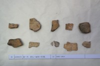 藏品(殷墟有字甲片)的圖片