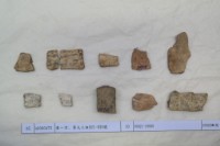 藏品(殷墟有字甲片)的圖片