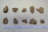 藏品(殷墟有字甲片)的圖片