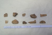 藏品(殷墟有字甲片)的圖片