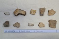 藏品(殷墟有字甲片)的圖片