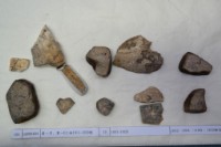 藏品(殷墟有字甲片)的圖片