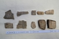 藏品(殷墟有字甲片)的圖片