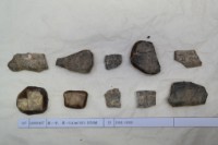 藏品(殷墟有字甲片)的圖片