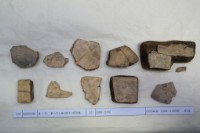 藏品(殷墟有字甲片)的圖片