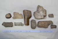 藏品(殷墟有字甲片)的圖片