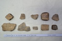 藏品(殷墟有字甲片)的圖片