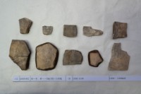 藏品(殷墟有字甲片)的圖片