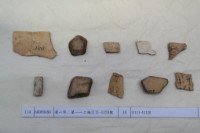 藏品(殷墟有字甲片)的圖片