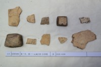 藏品(殷墟有字甲片)的圖片