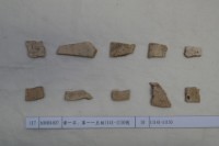 藏品(殷墟有字甲片)的圖片