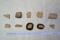 藏品(殷墟有字甲片)的圖片