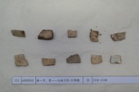 藏品(殷墟有字甲片)的圖片