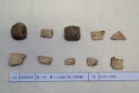 藏品(殷墟有字甲片)的圖片