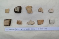 藏品(殷墟有字甲片)的圖片