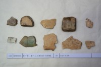 藏品(殷墟有字甲片)的圖片