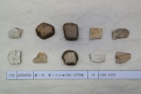 藏品(殷墟有字甲片)的圖片