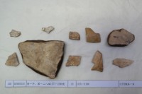 藏品(殷墟有字甲片)的圖片