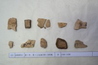 藏品(殷墟有字甲片)的圖片