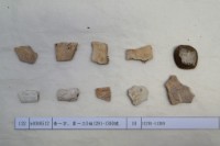 藏品(殷墟有字甲片)的圖片