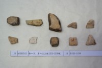 藏品(殷墟有字甲片)的圖片