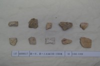 藏品(殷墟有字甲片)的圖片