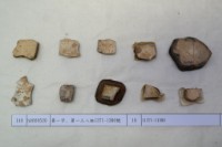 藏品(殷墟有字甲片)的圖片