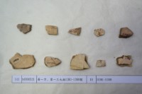 藏品(殷墟有字甲片)的圖片