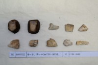 藏品(殷墟有字甲片)的圖片