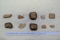 藏品(殷墟有字甲片)的圖片