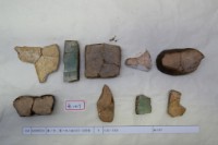 藏品(殷墟有字甲片)的圖片