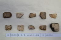 藏品(殷墟有字甲片)的圖片