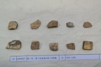 藏品(殷墟有字甲片)的圖片