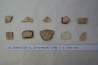 藏品(殷墟有字甲片)的圖片