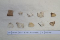 藏品(殷墟有字甲片)的圖片