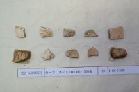 藏品(殷墟有字甲片)的圖片