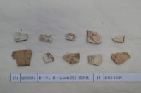 藏品(殷墟有字甲片)的圖片