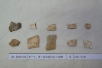 藏品(殷墟有字甲片)的圖片