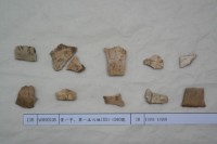 藏品(殷墟有字甲片)的圖片