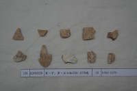 藏品(殷墟有字甲片)的圖片