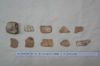 藏品(殷墟有字甲片)的圖片