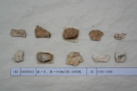 藏品(殷墟有字甲片)的圖片