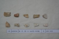 藏品(殷墟有字甲片)的圖片